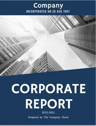 The_company_check_Report_1